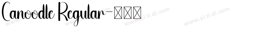 Canoodle Regular字体转换
